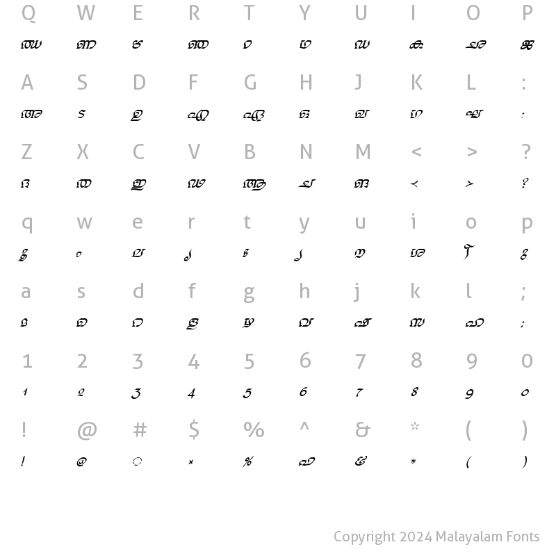 Character Map of ML-TTNalini Italic
